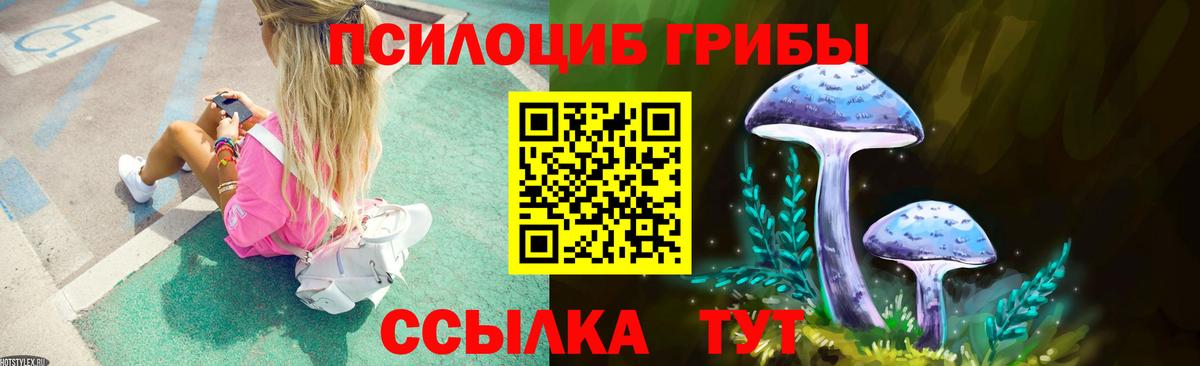 Курчатов  Галлюциногенные грибы MAGIC MUSHROOMS  Вход с VPN 