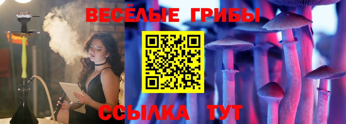 Псилоцибиновые грибы прущие грибы Курчатов